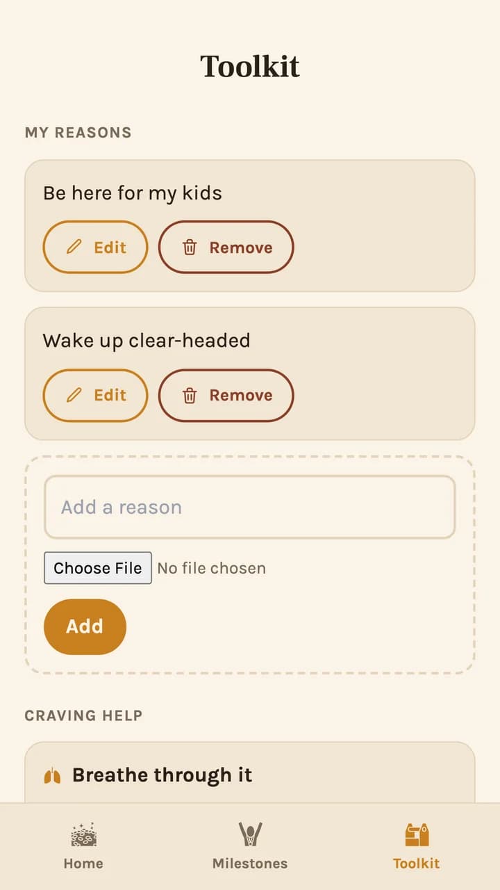 DayOne Sober: Personal reasons and support toolkit